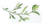 资深篮球教练推荐的训练规矩_2